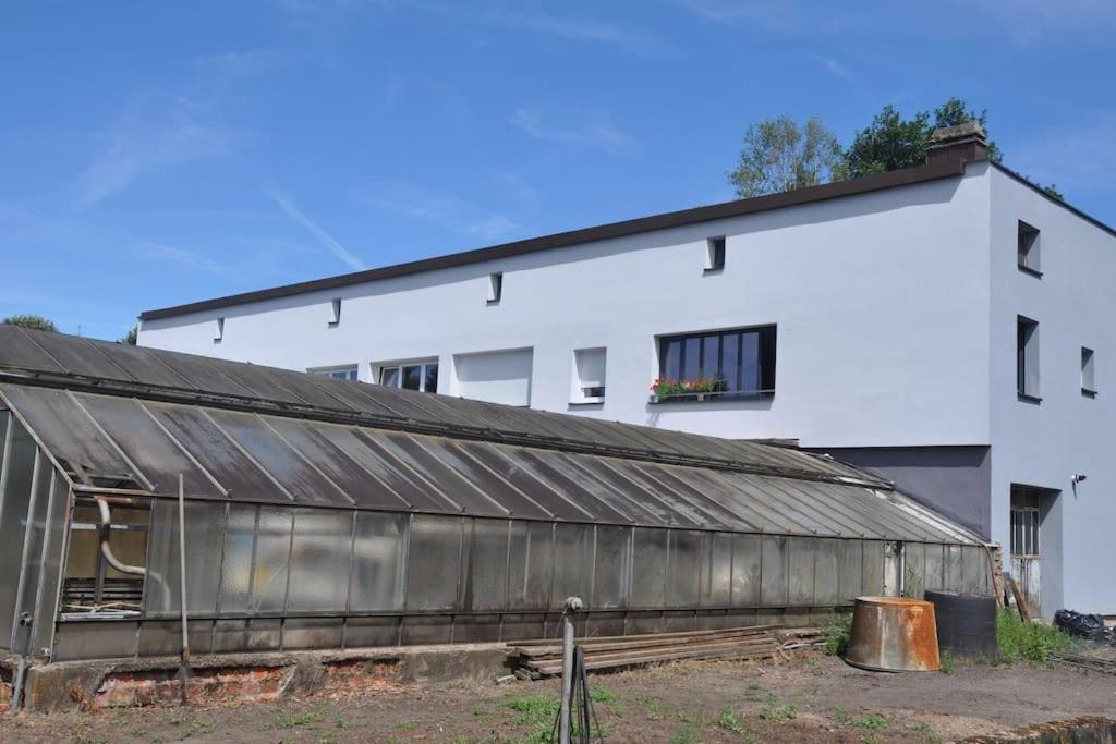 Appart St Nicolas: ancien corps de ferme horticole Freyming-Merlebach Extérieur photo